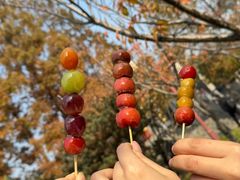 -连金饭店(金四路店)