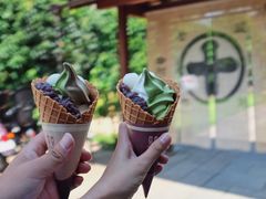 -中村藤吉(本店)