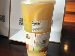 霸气燃爆橙子-奈雪的茶(仙林金鹰店)