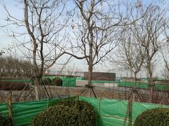 -东疆建设开发纪念公园