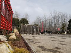 -合肥滨湖国家森林公园