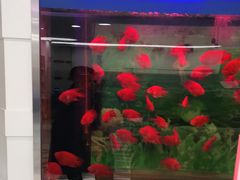 -雅悦齿科(顾村公园店)
