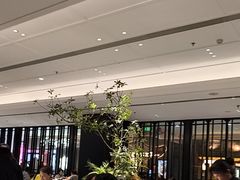 -金春禧(世茂国际广场店)