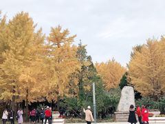 -北京水岸山吧度假村(雁栖镇店)