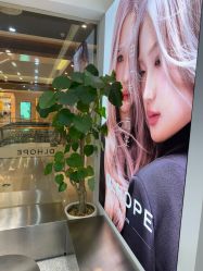 -DL HOPE造型