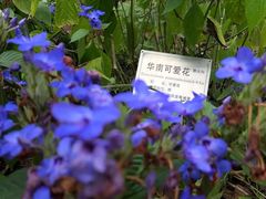 -广州神农草堂中医药博物馆