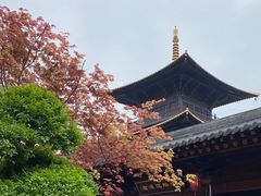 -广富林郊野公园
