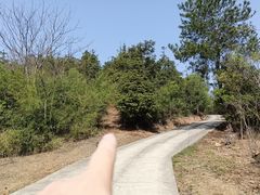 -牛首山文化旅游区