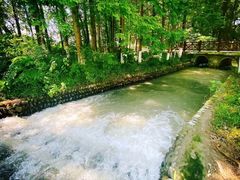 -桤木河湿地公园