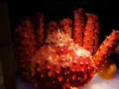 -广州花园酒店·凌璇阁旋转餐厅CAROUSEL360