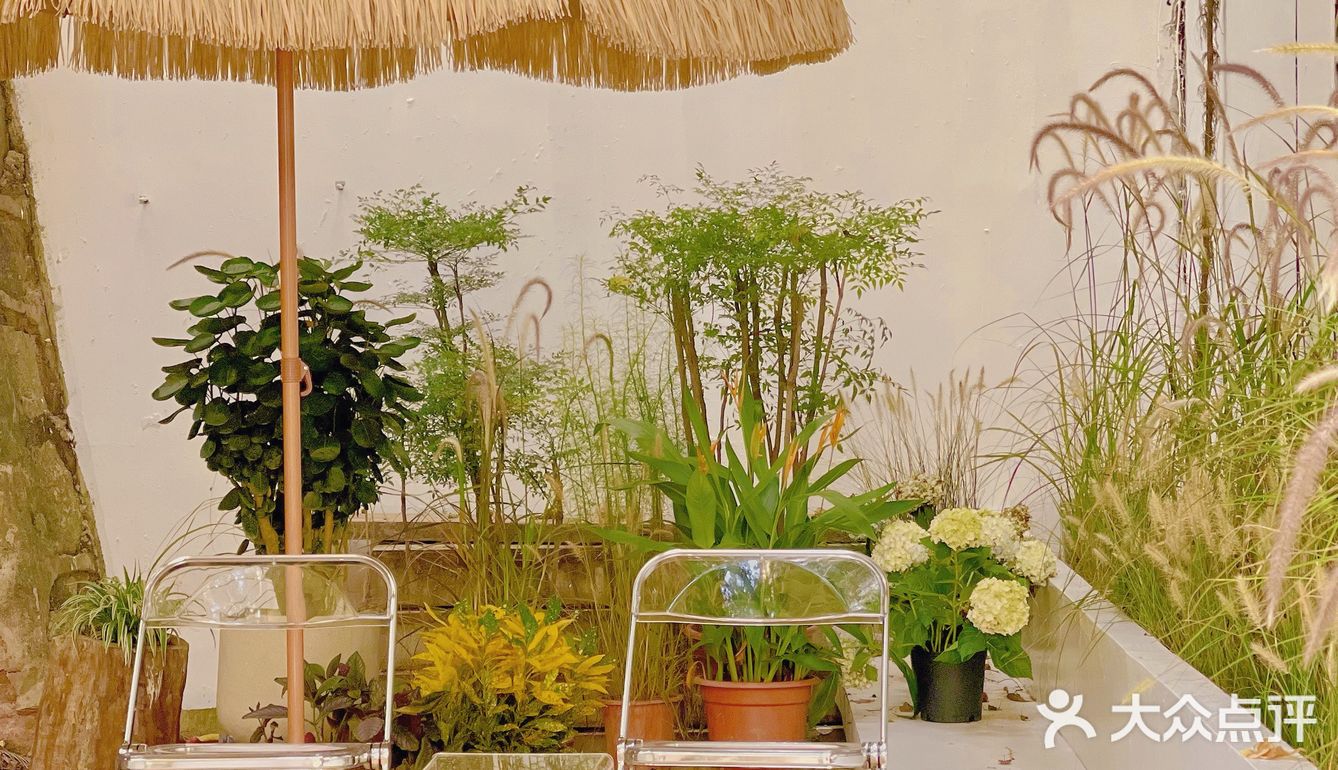 廣州 | 擁有200年樹齡樟樹，隱藏在市橋の咖啡民宿‼️