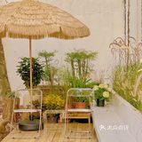 廣州 | 擁有200年樹齡樟樹，隱藏在市橋の咖啡民宿‼️