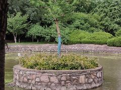 -南京航空航天大学(明故宫校区)