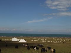 -青海湖国家重点风景名胜区