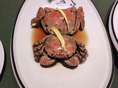 -老吉堂上海本帮菜(望京万象汇店)