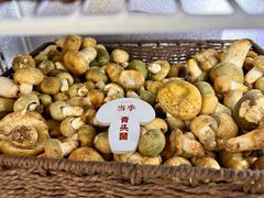 -蘑界·野生菌火锅(深业上城店)