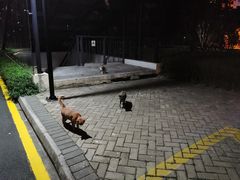 -菁汇公寓