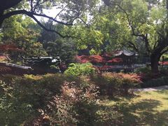 -申粤轩酒楼·三十年粤菜经典(丁香花园店)