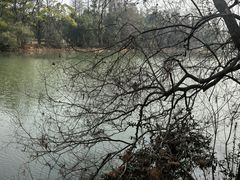 -东湖落雁景区