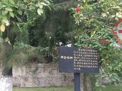 android_upload_pic-集美学村