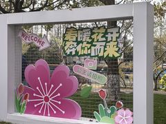 -高东镇樱花园