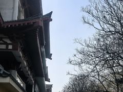 -泽西岛·影院沐足SPA(西大街店)