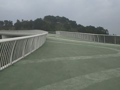 -飞凤山奥体公园
