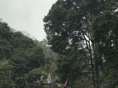 -青城山