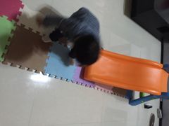 玩具反斗城-TOYSRUS玩具反斗城(南通大有镜店)