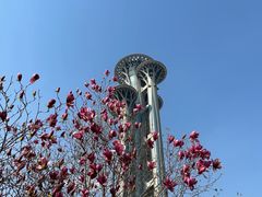 -香妃烤鸡(新奥店)