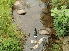 -会稽山峡洞漂流-上青古道