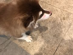 -厝内小眷村(新北万达店)