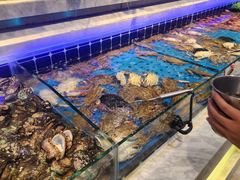 -川骄海鲜自助(河东店)