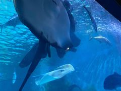 -常州海昌海洋探索馆