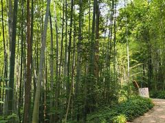 -南山风景名胜区