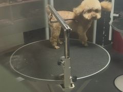 -佳百利宠物(荣乐中路115弄小区店)