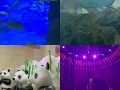 -福州罗源湾海洋世界旅游区