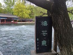 -百脉泉景区