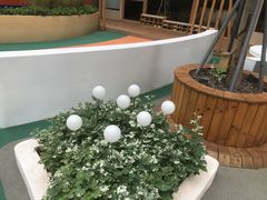 -IBOBI早教·托班·国际家庭互动成长中心(欢乐海岸中心)
