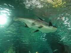 -福州罗源湾海洋世界旅游区