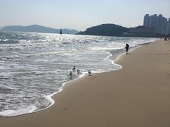 -海云台海滩