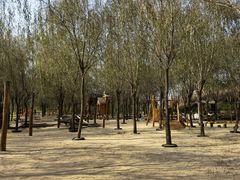 -西部长青自然儿童乐园