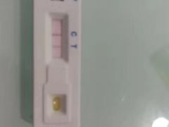-达爱动物医院·犬猫分区·CT·复杂眼科(远洋山水分院)
