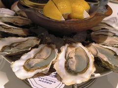 -Osteria Garden 生蚝花园餐厅(原进贤路店)