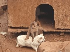 -昆明动物园
