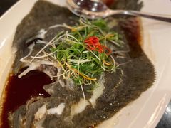 清蒸多宝鱼-铭轩中餐厅·海南菜·粤菜(亚龙湾瑞吉店)