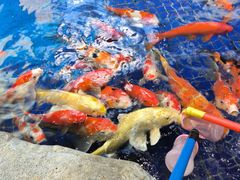 -鸿通城购物中心