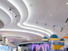 -帝企鹅自助餐厅•儿童岛•真企鹅(长隆企鹅酒店)