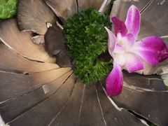 -清真军邺·金富苑肥牛(石坡街旗舰店)