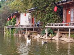 -观澜山水田园